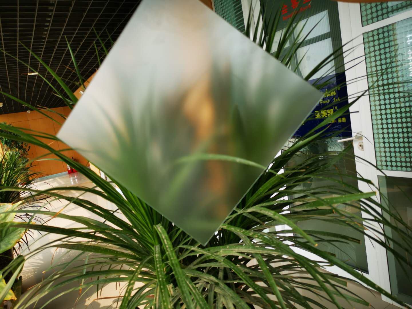 肌肤砂华体会在线蒙砂粉